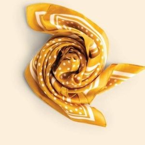 🆕 Cleobella "The Silky Scarf"